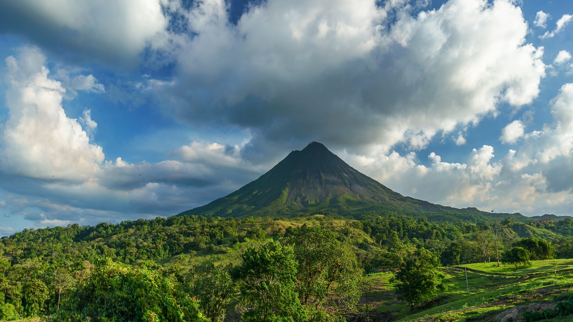 Costa Rican Adventure