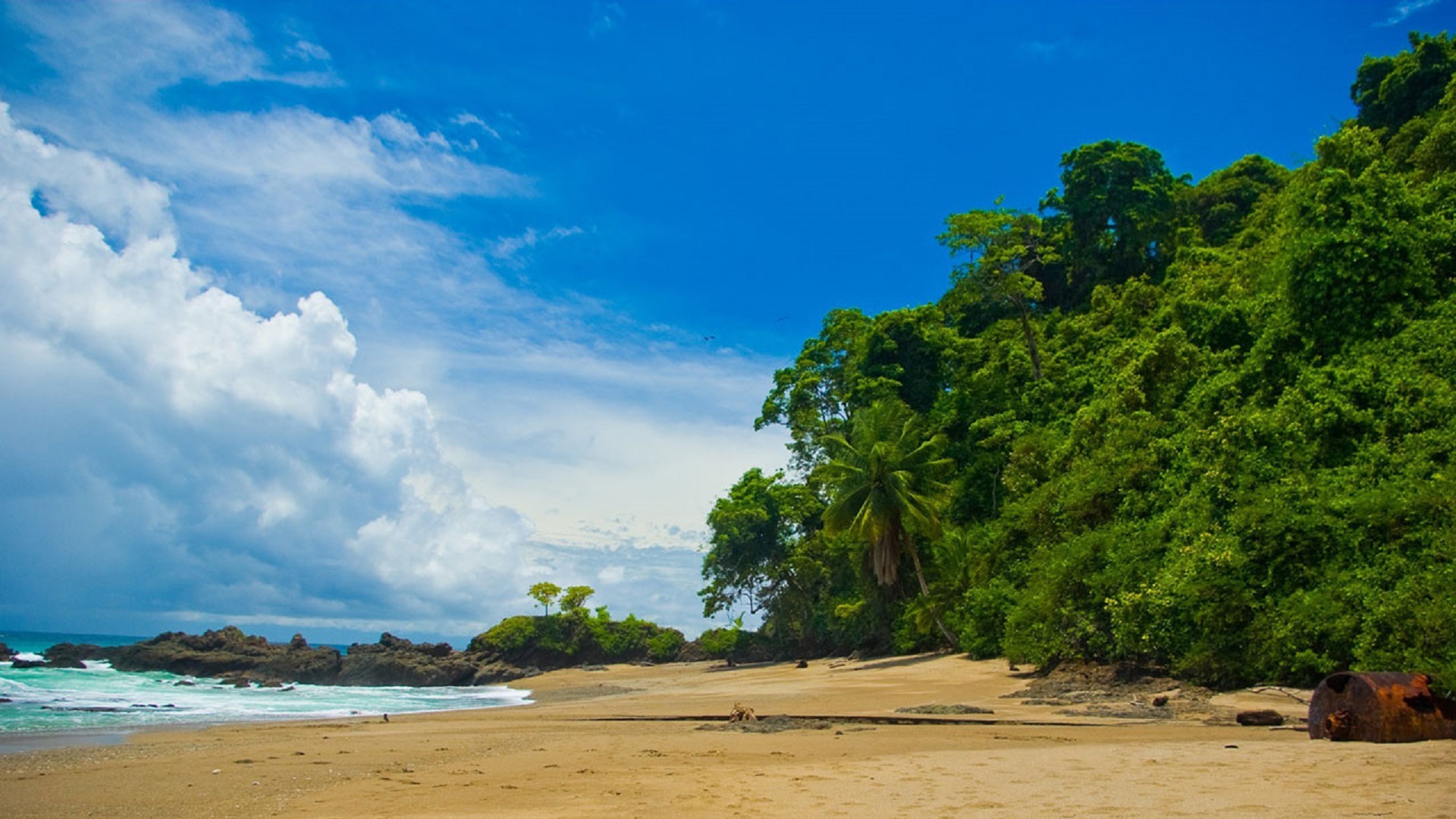 Costa Rican Explorer