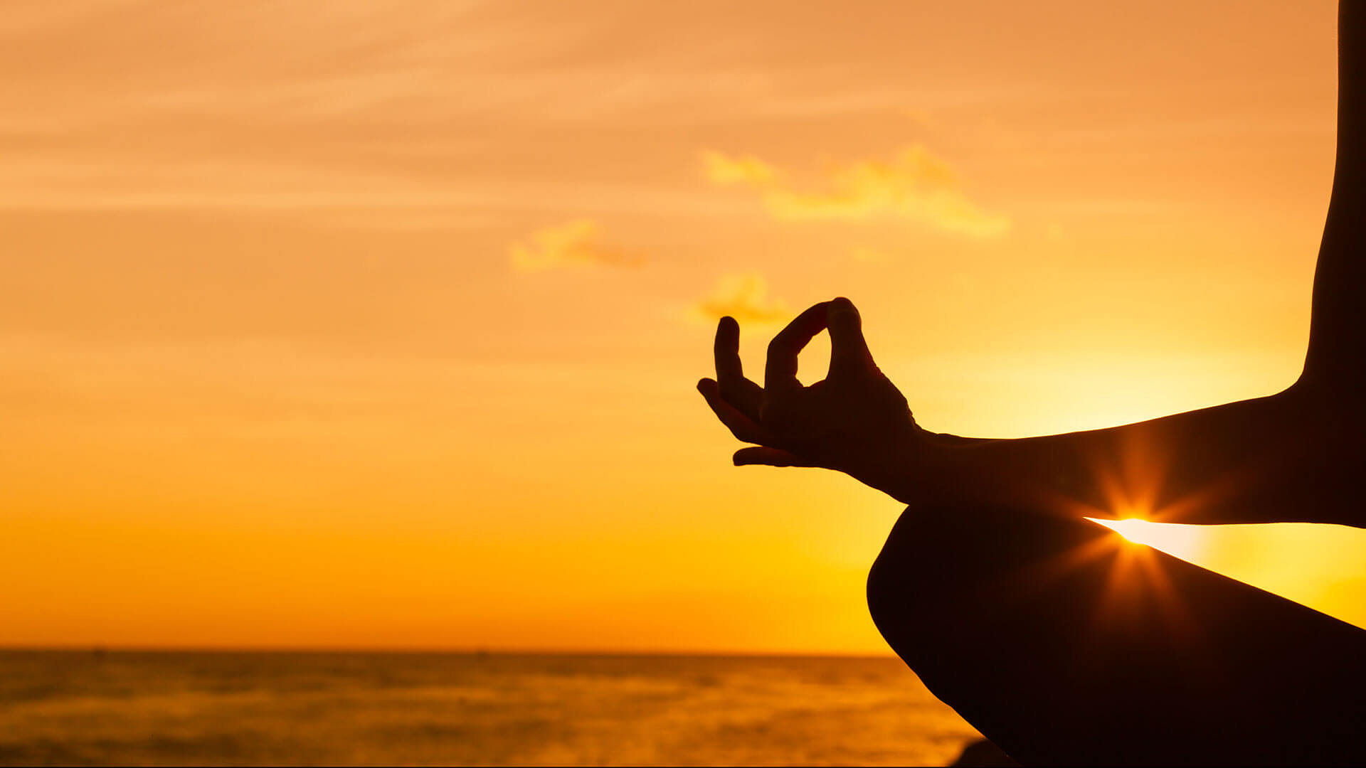 Yoga The Healing Touch