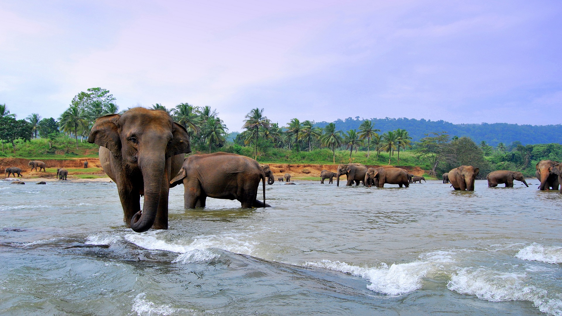 Treasures of Sri Lanka