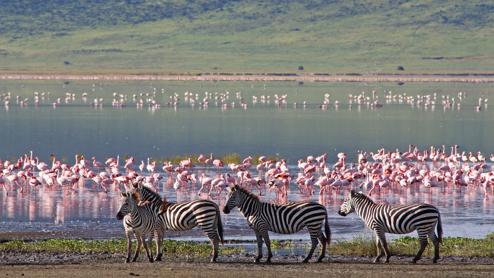 Captivating Kenya