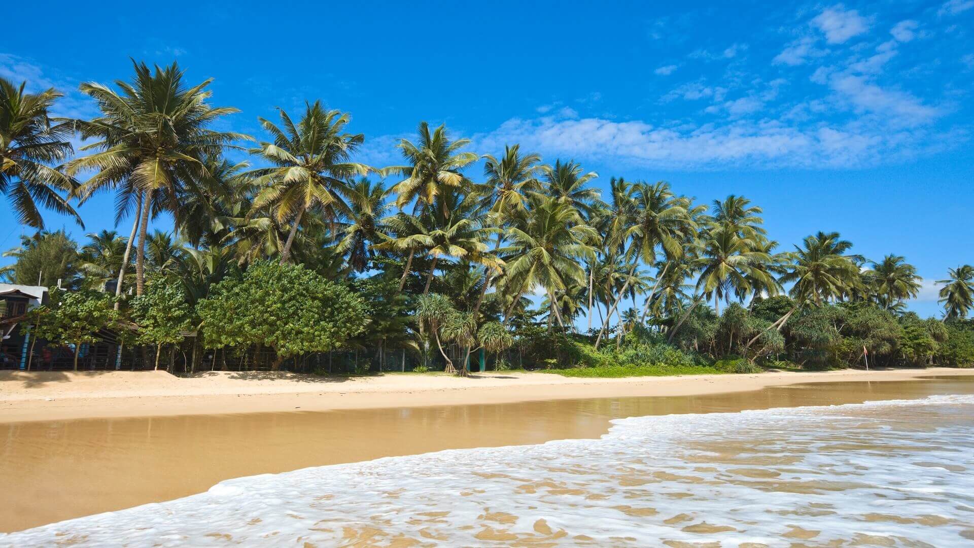 Amazing Sri Lanka