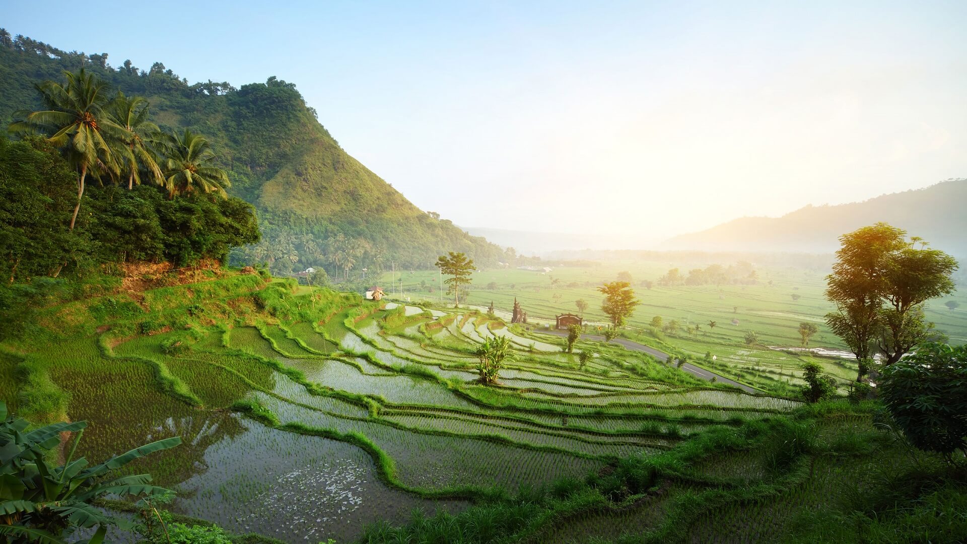 Delightful Bali